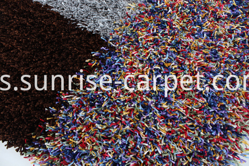 Viscose Polyester Shaggy con Alfombra de diseño Viscose Polyester Shaggy with Design Rug